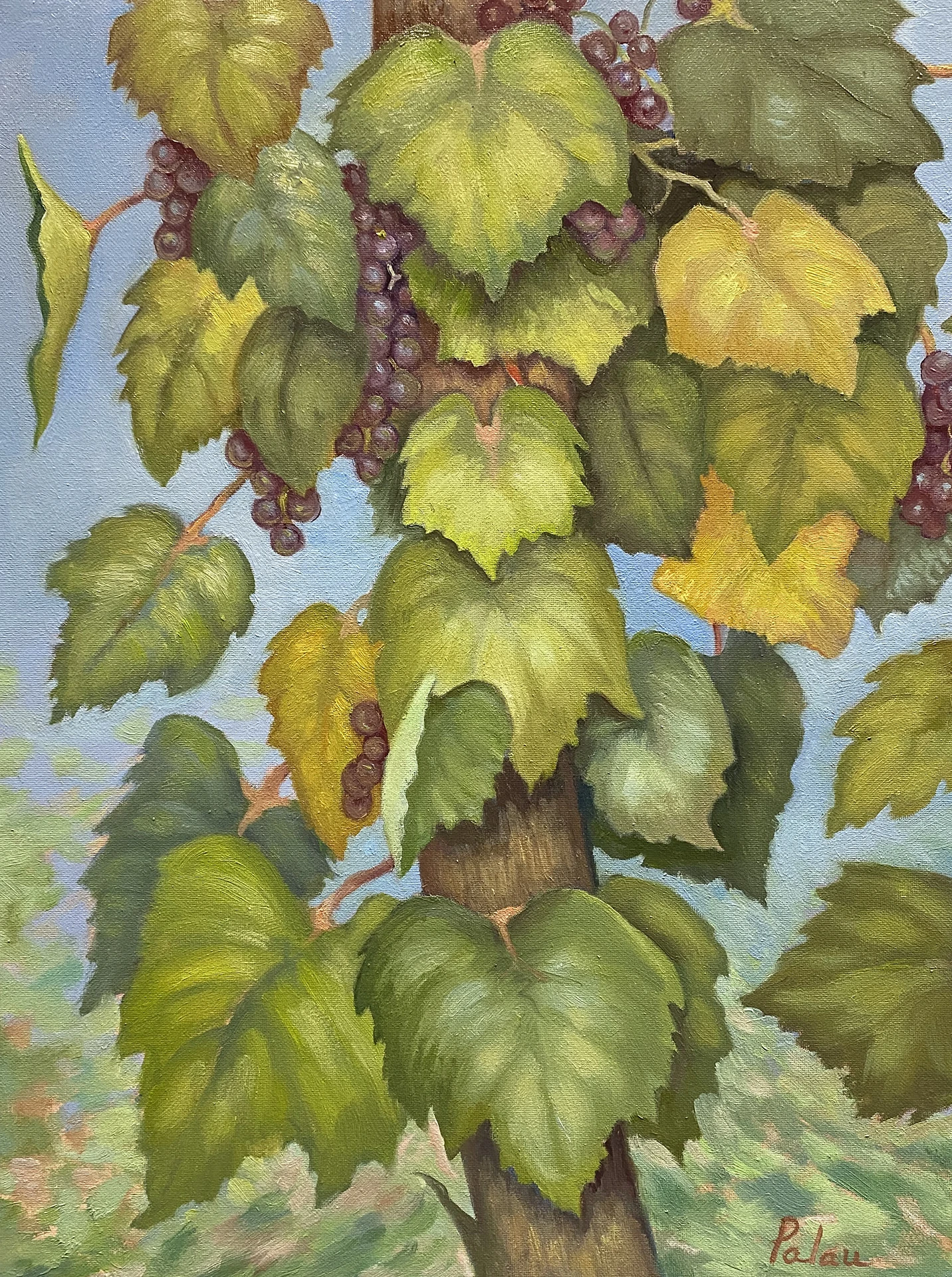 August Vines, Fleur Palau, oil on canvas 17 x 10